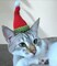 Crochet Elf Santa Hats for Cats and Small Dogs product 2
